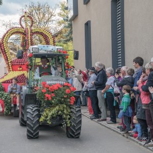 Apfelfest in Natz