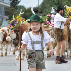 Almabtrieb Reith im Alpbachtal