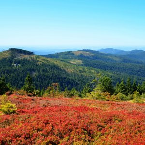 Herbstlandschaft im  Nationalpark Bayerischer Wald