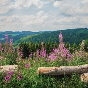 Ausflug ins Sauerland